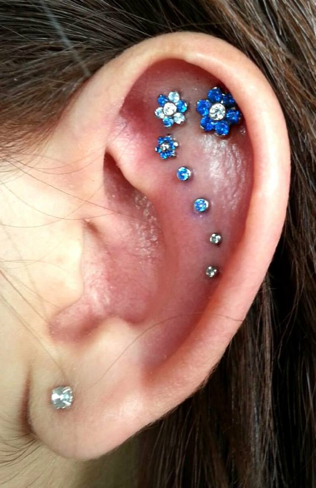 i am looking for people who want a super cool ear project i am looking for people who want a super cool ear project